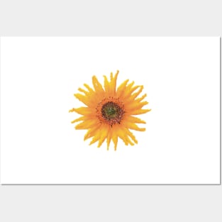 Golden Sunflower Posters and Art